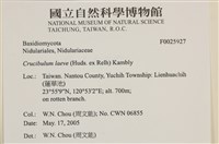 登錄號:F0025927藏品圖，第4張