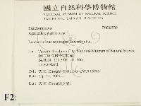 登錄號:F0025930藏品圖，第2張