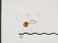 登錄號:F0025931藏品圖，第1張