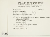 登錄號:F0025932藏品圖，第2張