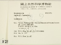 鬼傘屬藏品圖，第2張