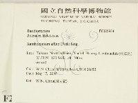 登錄號:F0025934藏品圖，第2張