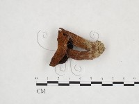 登錄號:F0025934藏品圖，第3張