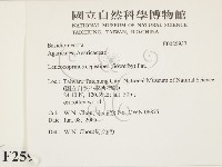 登錄號:F0025937藏品圖，第2張