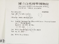 登錄號:F0025939藏品圖，第2張