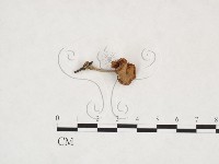登錄號:F0025940藏品圖，第3張