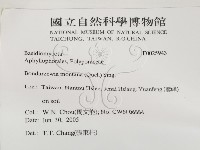 登錄號:F0025943藏品圖，第2張
