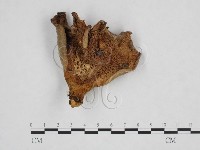 登錄號:F0025943藏品圖，第1張