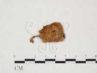 登錄號:F0025944藏品圖，第3張