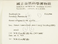 登錄號:F0025946藏品圖，第2張