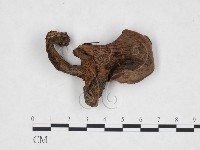 登錄號:F0025947藏品圖，第3張