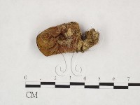 登錄號:F0025948藏品圖，第3張