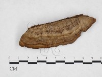 登錄號:F0025950藏品圖，第3張