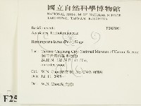 登錄號:F0025951藏品圖，第2張