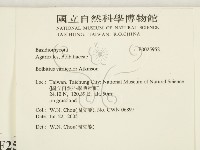 登錄號:F0025952藏品圖，第2張