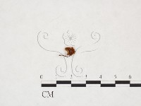 登錄號:F0025953藏品圖，第1張
