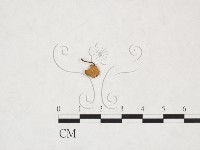 登錄號:F0025953藏品圖，第3張