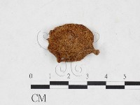 登錄號:F0025954藏品圖，第3張