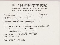 登錄號:F0025955藏品圖，第2張