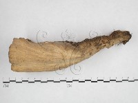 登錄號:F0025955藏品圖，第3張
