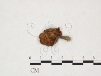 登錄號:F0025957藏品圖，第3張