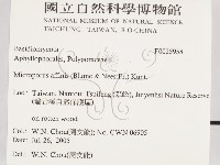 相鄰小孔菌藏品圖，第2張