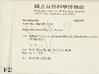 登錄號:F0025959藏品圖，第2張