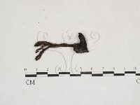 登錄號:F0025959藏品圖，第3張