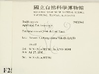 登錄號:F0025960藏品圖，第2張