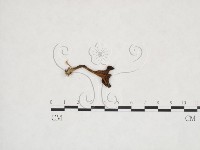 登錄號:F0025961藏品圖，第1張