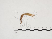 登錄號:F0025962藏品圖，第3張