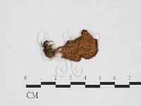 登錄號:F0025963藏品圖，第1張