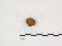 登錄號:F0025965藏品圖，第1張