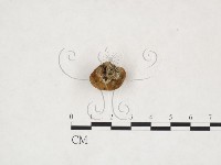 登錄號:F0025965藏品圖，第3張