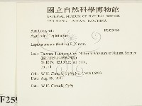 登錄號:F0025966藏品圖，第2張