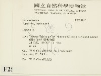 登錄號:F0025967藏品圖，第2張