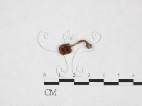 登錄號:F0025967藏品圖，第3張