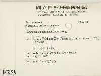 登錄號:F0025968藏品圖，第2張