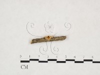 登錄號:F0025968藏品圖，第1張