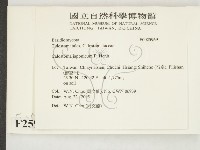 登錄號:F0025969藏品圖，第2張