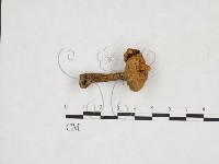 登錄號:F0025970藏品圖，第3張
