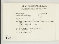 粉褶菌屬藏品圖，第2張