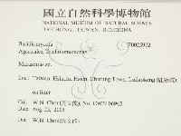 小皮傘屬藏品圖，第2張