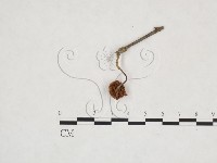 登錄號:F0025973藏品圖，第3張