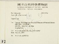 鬼傘屬藏品圖，第2張