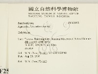 登錄號:F0025975藏品圖，第2張