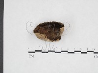 登錄號:F0025976藏品圖，第3張