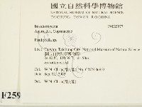 登錄號:F0025977藏品圖，第2張