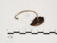 登錄號:F0025977藏品圖，第1張