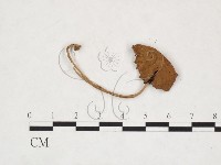 登錄號:F0025977藏品圖，第3張